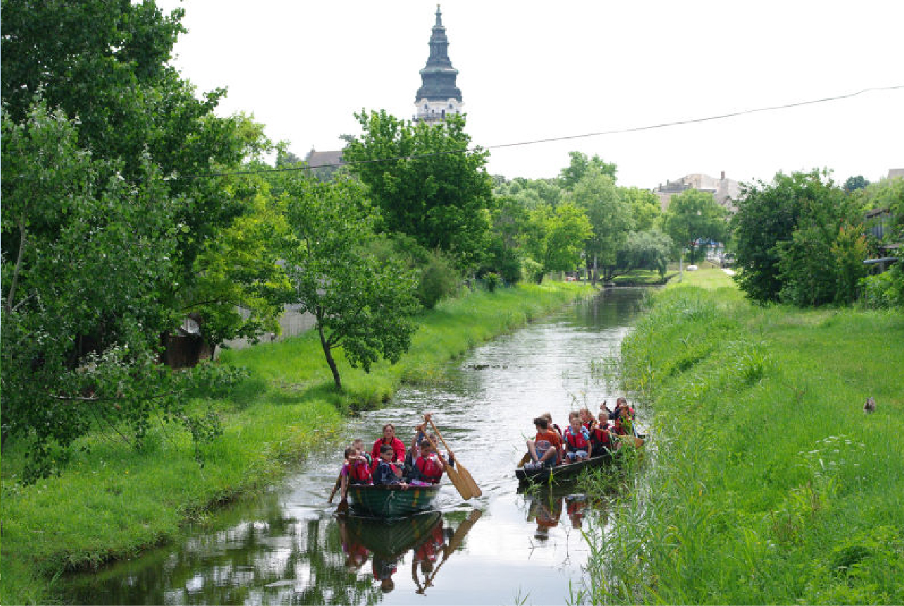 tótkomlócska